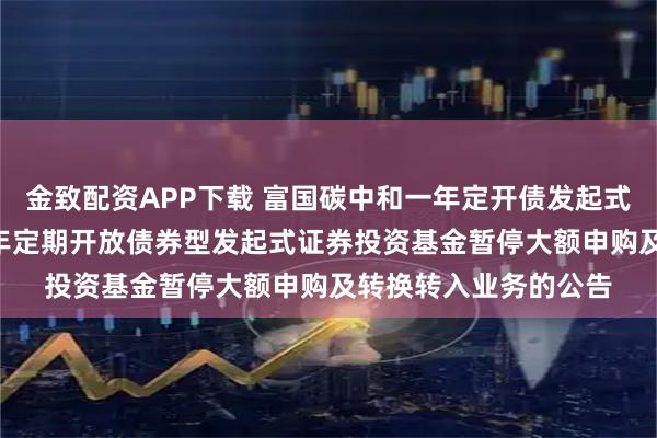 金致配资APP下载 富国碳中和一年定开债发起式: 关于富国碳中和一年定期开放债券型发起式证券投资基金暂停大额申购及转换转入业务的公告