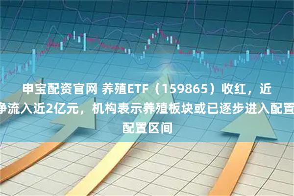 申宝配资官网 养殖ETF（159865）收红，近5日净流入近2亿元，机构表示养殖板块或已逐步进入配置区间